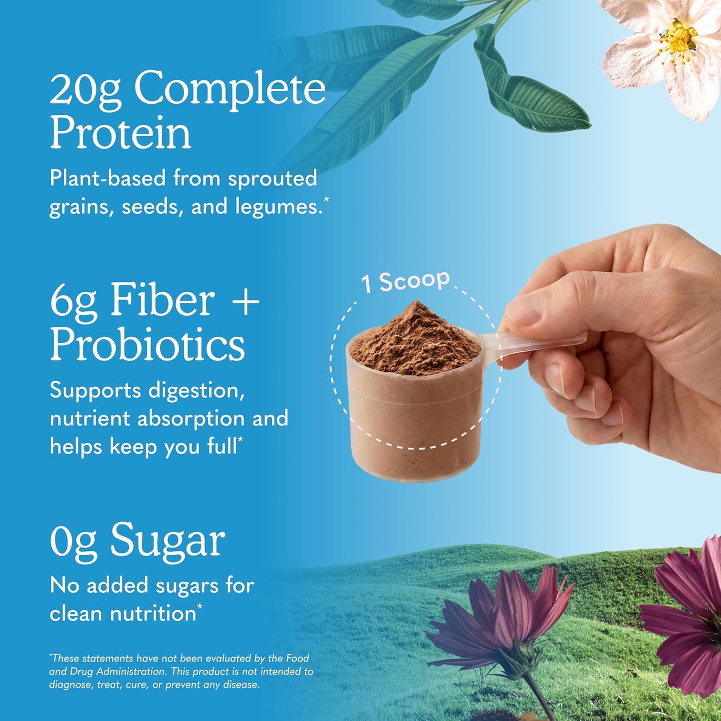 Garden of Life Raw Organic Meal Protein Powder, Chocolate, 28 Servings | Raw Organic, with Plant Based Pea Protein, Sprouts, Greens, Probiotics, Dairy Free 28 Servings