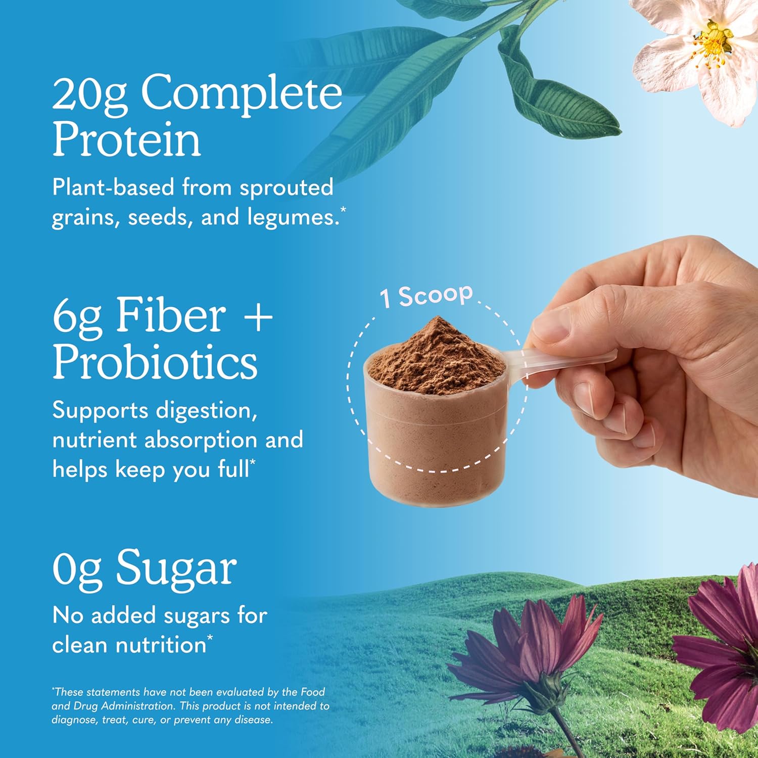 Garden of Life Raw Organic Meal Protein Powder, Chocolate, 28 Servings | Raw Organic, with Plant Based Pea Protein, Sprouts, Greens, Probiotics, Dairy Free 28 Servings
