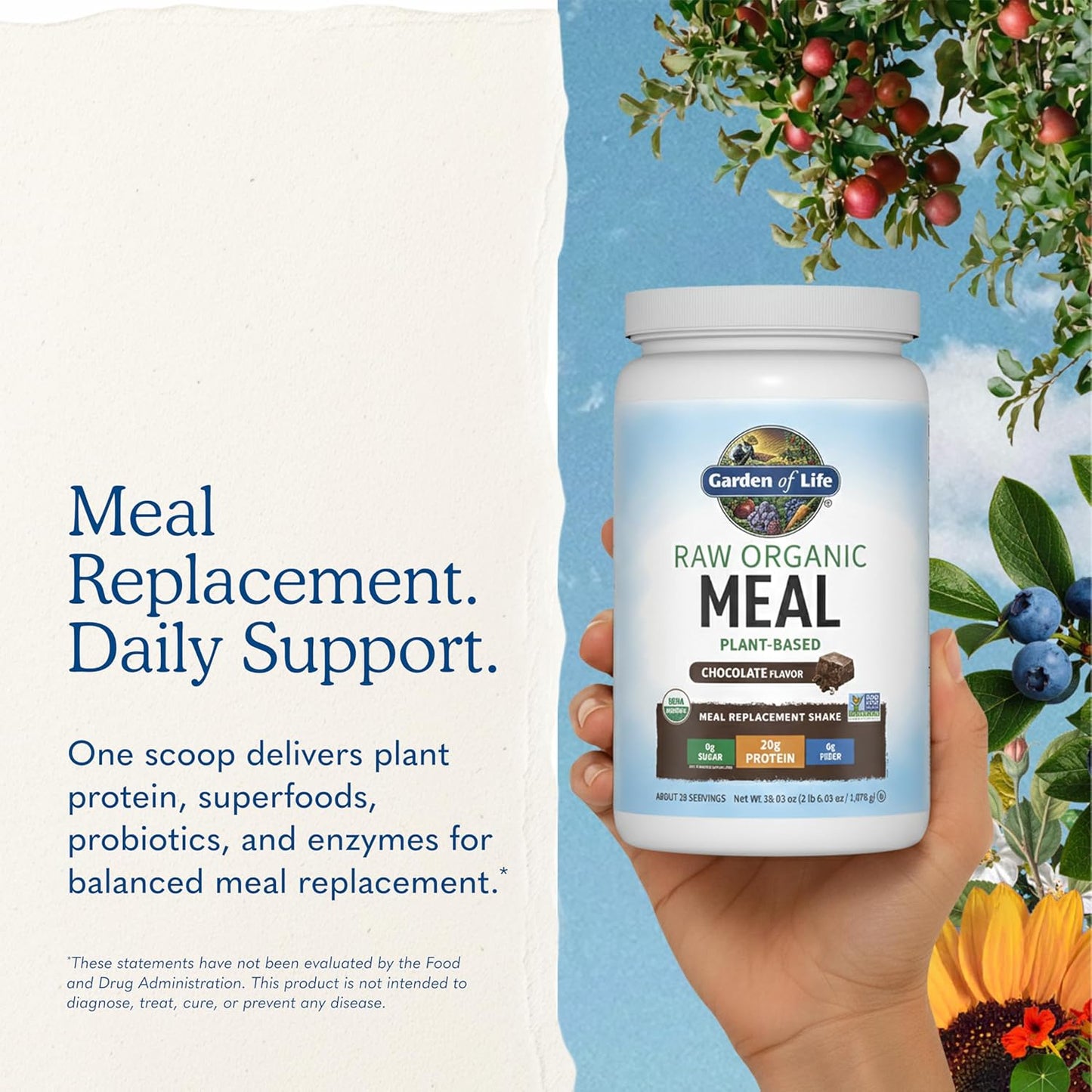 Garden of Life Raw Organic Meal Protein Powder, Chocolate, 28 Servings | Raw Organic, with Plant Based Pea Protein, Sprouts, Greens, Probiotics, Dairy Free 28 Servings