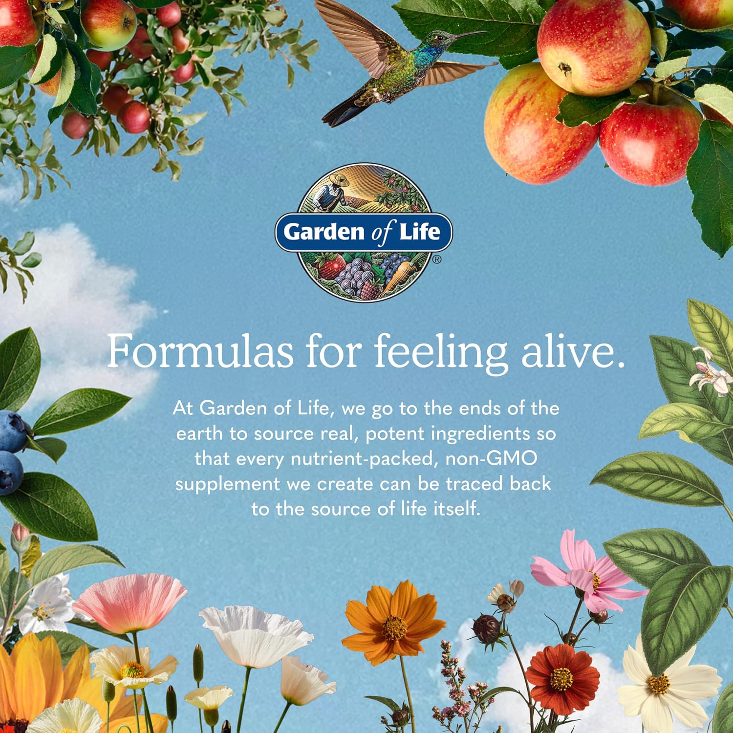 Garden of Life Raw Organic Meal Protein Powder, Chocolate, 28 Servings | Raw Organic, with Plant Based Pea Protein, Sprouts, Greens, Probiotics, Dairy Free 28 Servings
